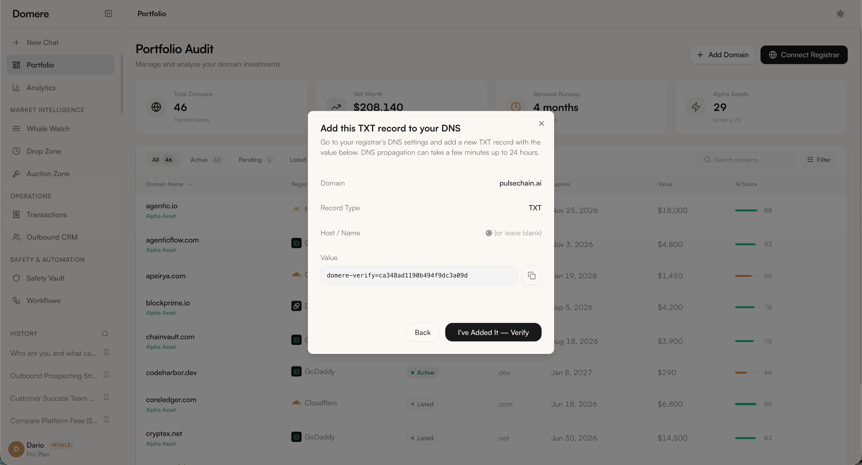 Add Domain DNS Verification